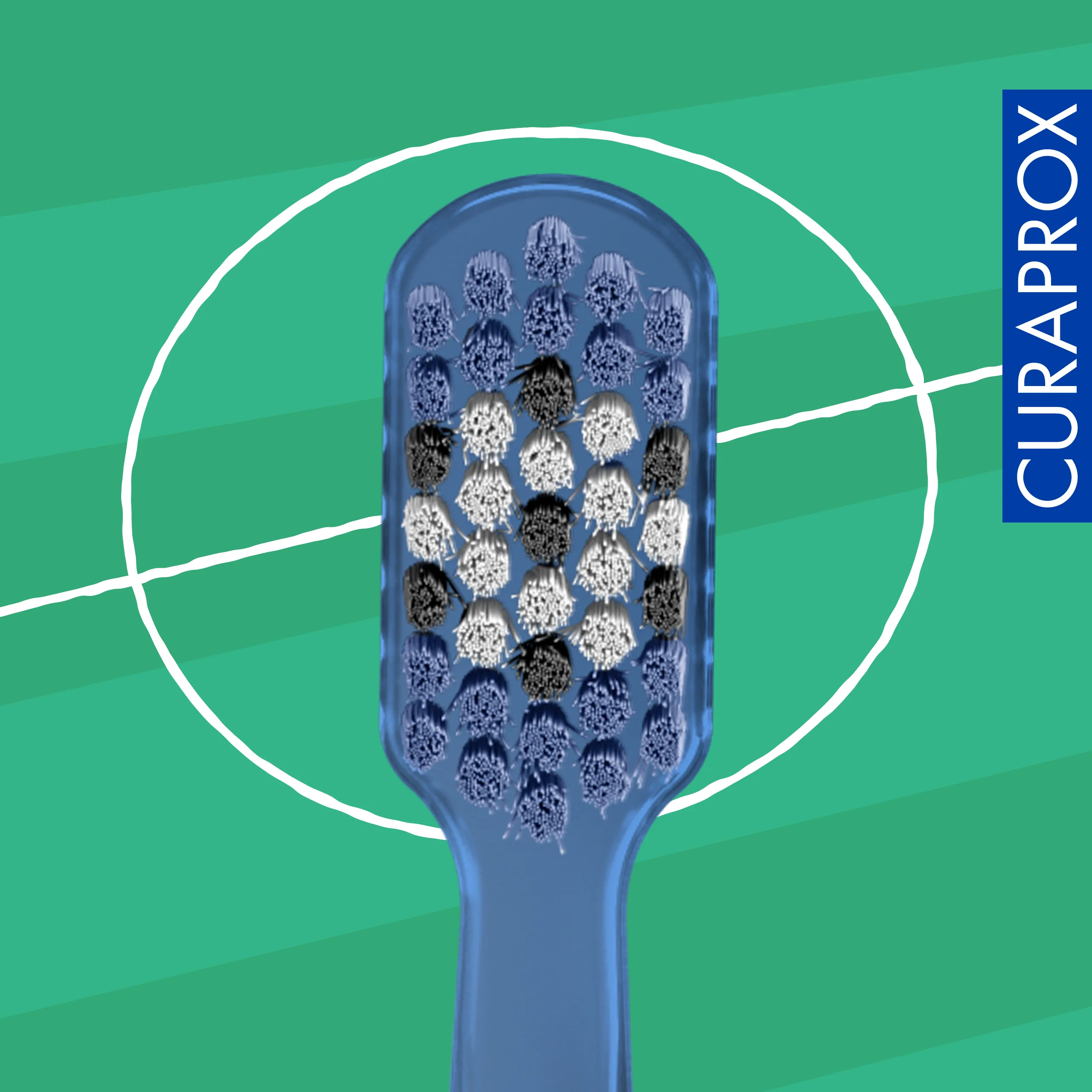 CS 5460 Football Edition 2026, 2 pcs - Image 7