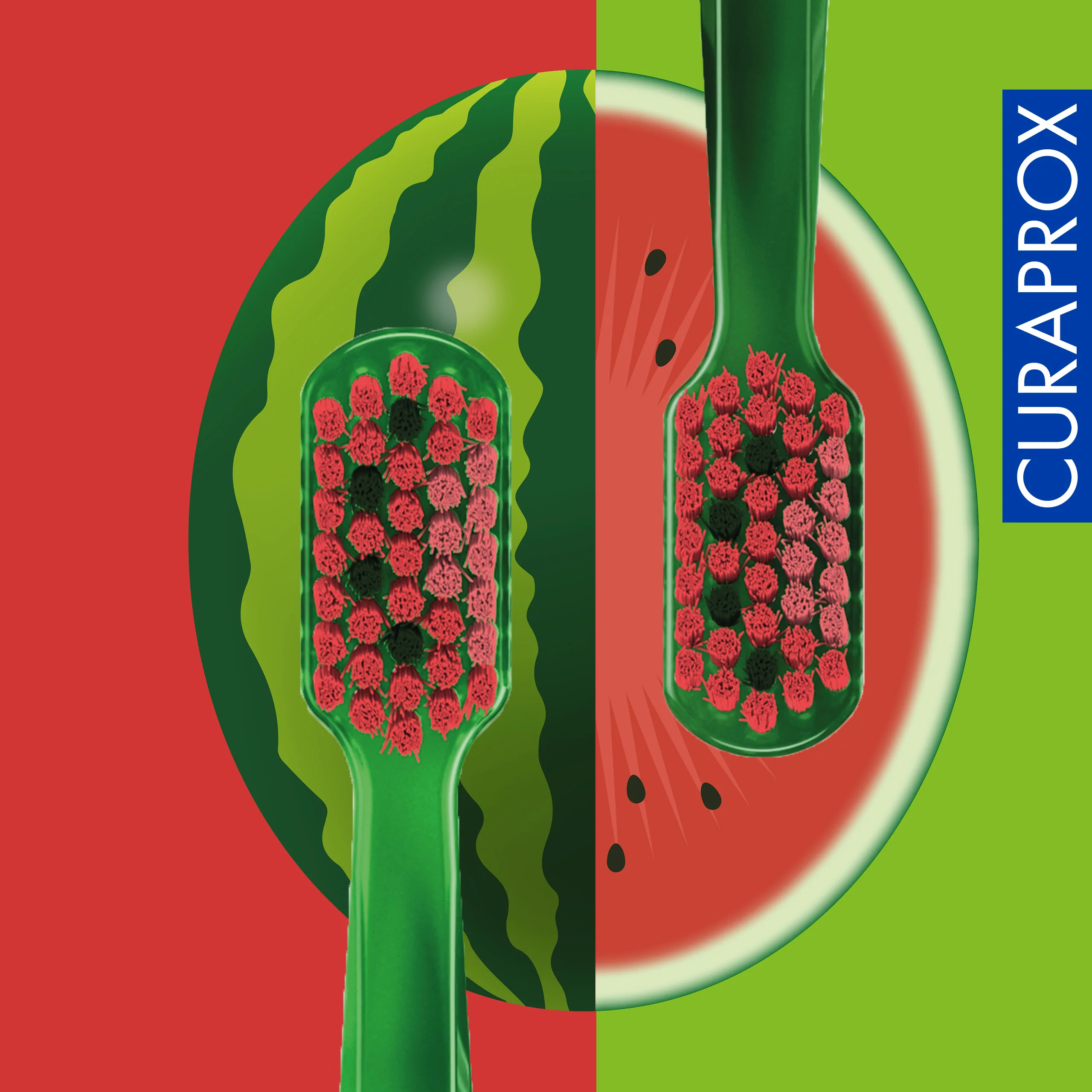 CS 5460 Watermelon Summer Edition, 2 pcs - Image 5