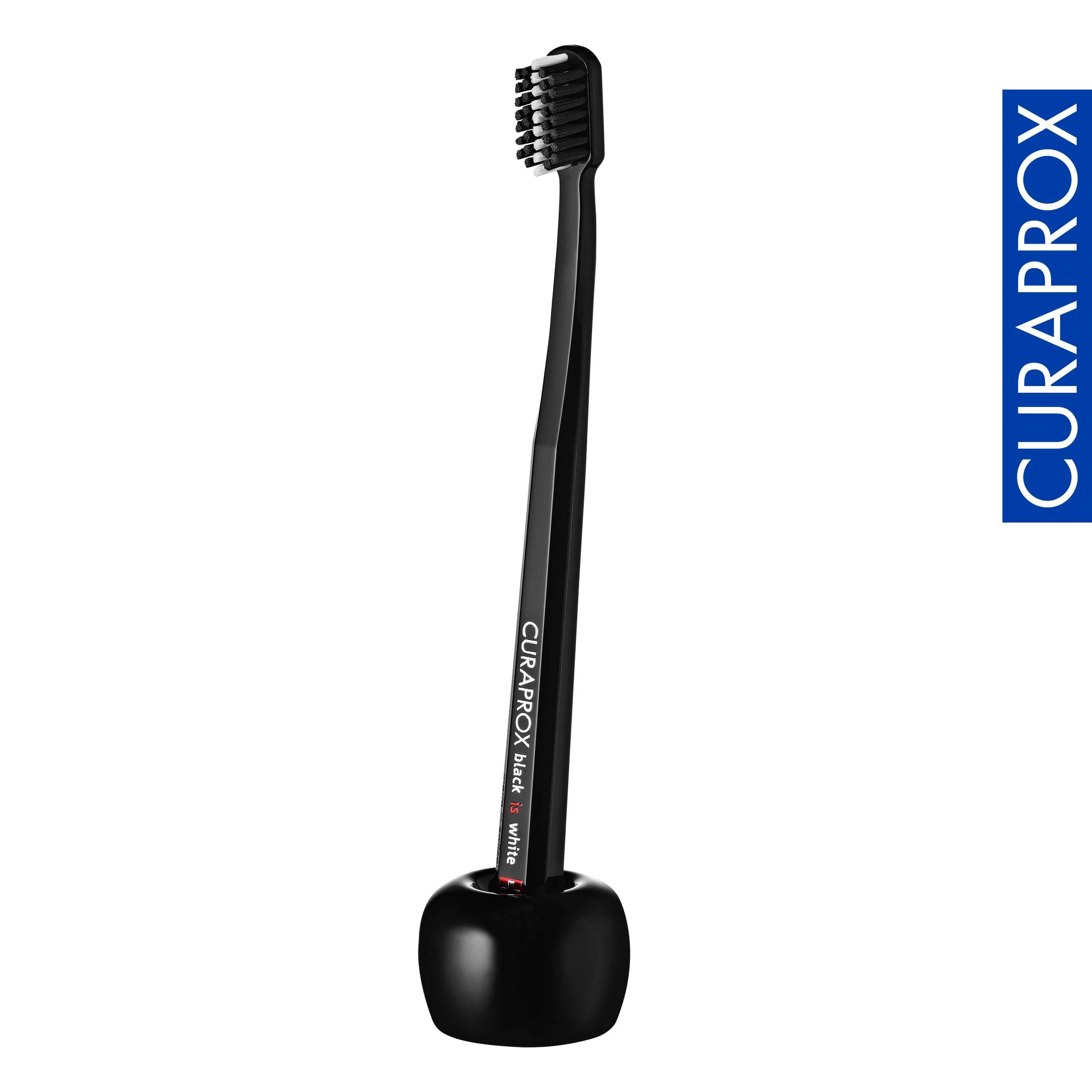 Toothbrush Holder, Black - Image 5